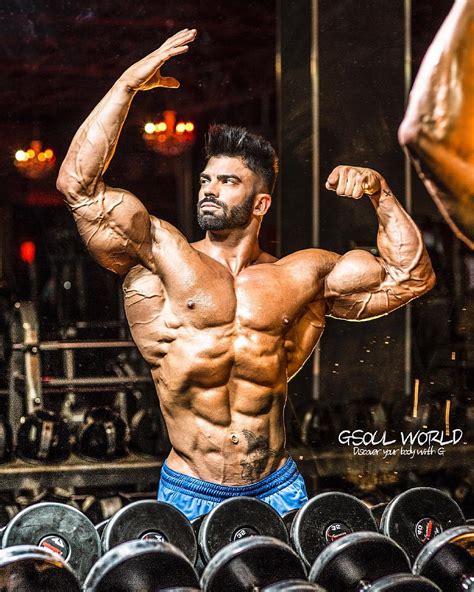 Full Sergi Constance Sergi Bodybuilder Hd Phone Wallpaper Pxfuel