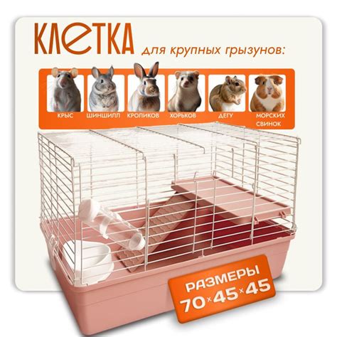 Клетка для крыс, шиншиллы, морской свинки и грызунов большая купить на ...