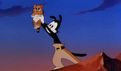 Animaniacs Episode Recap Tv Tropes