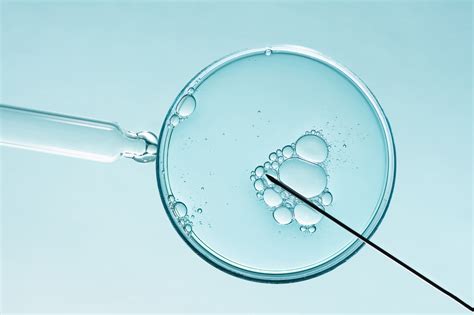 Artificial intelligence in sperm selection for assisted reproduction