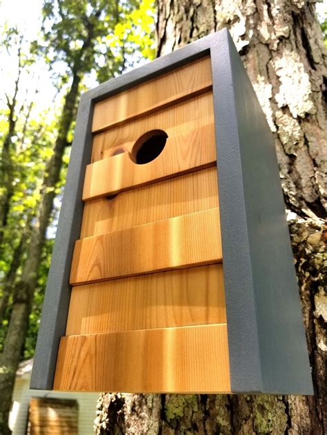 A Birdhouse Built Into The Side Of A Tree