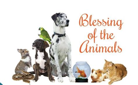 Blessing of Animals Service 2020 | Holy Trinity Evangelical Lutheran ...