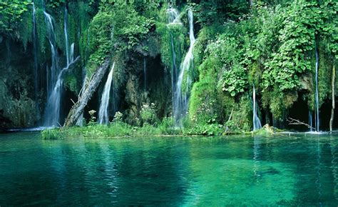 waterfalls in paradise Free Photo Download | FreeImages