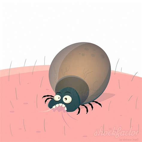 Cartoon Tick Zecke Zeichnung Tiere