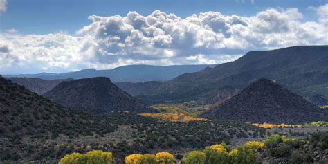 Las Cruces, New Mexico - Steele Athletics