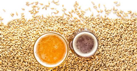 The Secondary Flavors of Malt | Craft Beer & Brewing