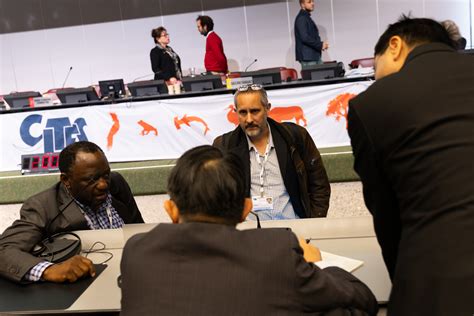 Delegates From The Democratic Republic Of Congo And Japan Consult