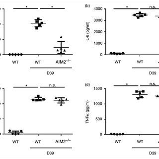 AIM2 Deficiency Aggravates The Inflammatory Reaction In S