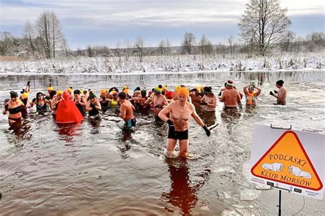 Morsy weszły do wody Na termometrach było 10C ZDJĘCIA Sport