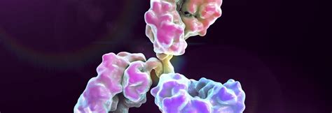 Glucocerebrosidase Breakthrough May Bode Well for Gaucher Disease