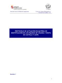 Protocolo De Actuaci N En Materia De Protocolo De Actuaci N En