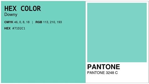 HEX #71D2C1 to PMS Code PANTONE 3248 C Conversion chart (PMS Solid Coated)
