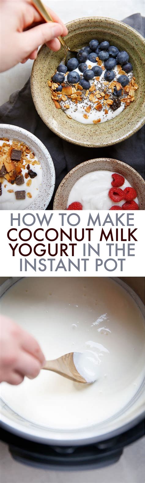 Dairy Free Coconut Milk Yogurt Recipe For The Instant Pot Lexi S