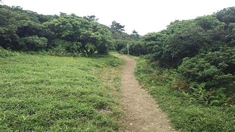 鈴鹿 入道ヶ岳 気持ちいい～ 入道ヶ岳・鎌ヶ岳・仙ヶ岳の写真7枚目 ひらけてきました Yamap ヤマップ