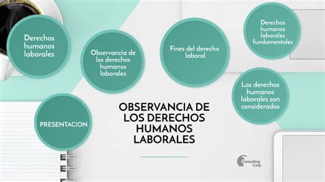 Observancia De Los Derechos Humanos Laborales By Simon Hern Ndez