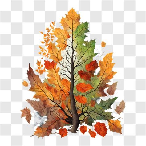 Scarica Albero Autunnale Colorato Con Foglie Che Cadono PNGs Online