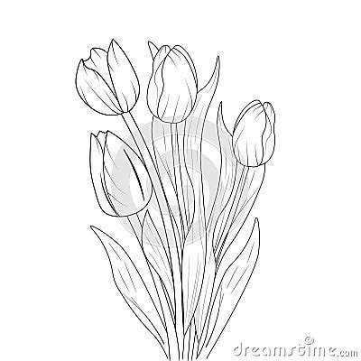 Beautiful Tulips Flowers Bouquet Tulip Flower Vector Art Tulip Flower