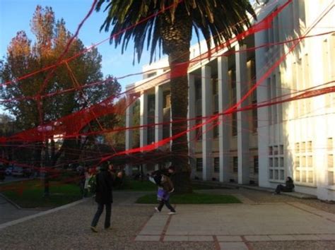 instalación arco de medicina