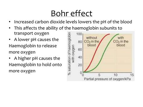 Oxygen Dissociation And Bohr Effect Lesson 1 Of 2