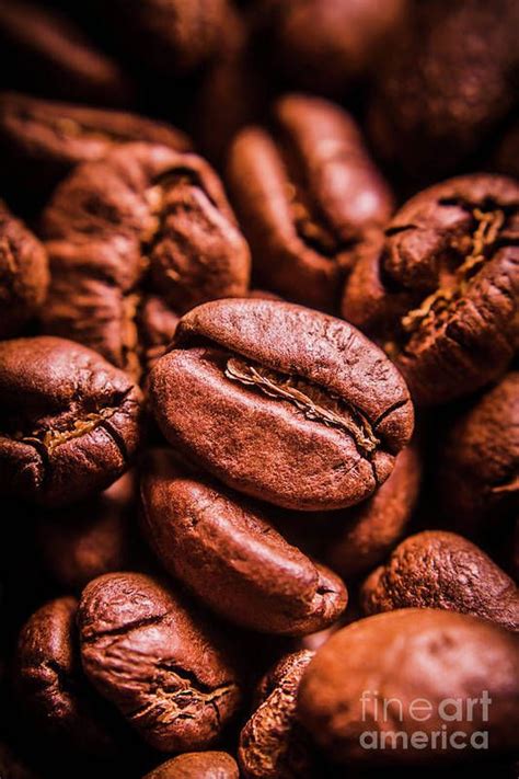 Food Art Print Featuring The Photograph Roasted Coffee Bean Macro By