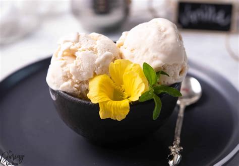 Easy Homemade Vegan Vanilla Ice Cream Daring Kitchen