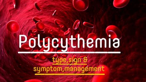 Polycythemia Type Sign Symptom Treatment Blood Disorder MSN