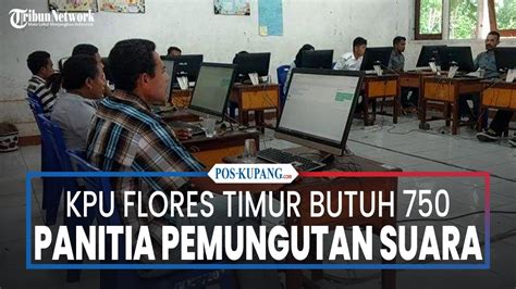 Pemilu Kpu Flores Timur Butuh Panitia Pemungutan Suara Youtube