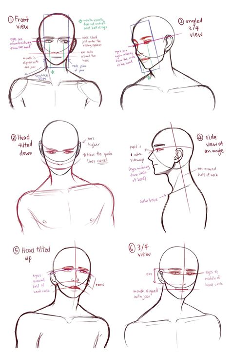 drawing heads base ideas  save today drawing heads drawing