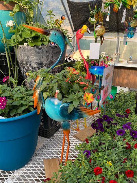 Cottontail Way Greenhouse... - Cottontail Way Greenhouse