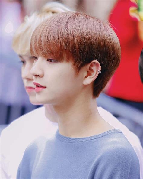 Seventeen Joshua Hong Jisoo