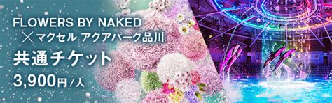 FLOWERS BY NAKED ー桜ー NAKED FLOWERS 桜 世界遺産二条城