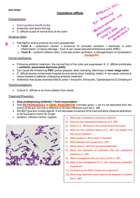 Infection Table Bacteria Clostridium Difficile Characteristics