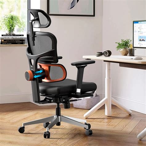 Ergonomic Office Chairs