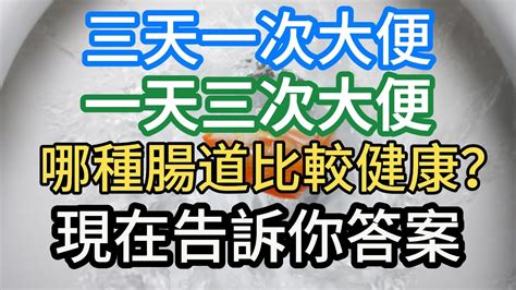 三天一次大便和一天三次大便，哪種腸道比較健康？ 現在告訴你答案。 Youtube