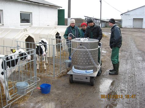 "Agrosvit" cattle-farm - Bizart