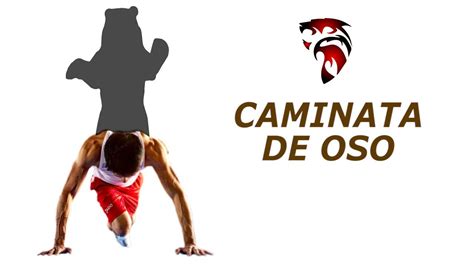 Caminata De Oso Er Ejercicio Para Ganar Fuerza Youtube