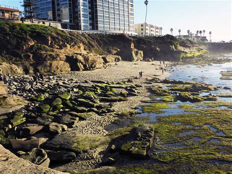 Shell Beach: the La Jolla Tide Pools, California