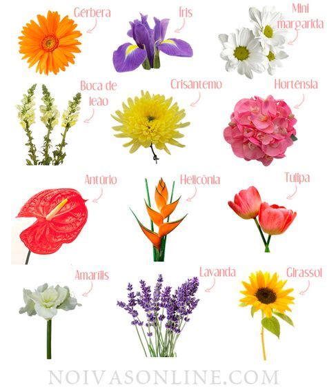 72 Ideas De Nombres De Flores Nombres De Flores Flores Tipos De Flores