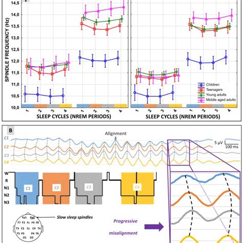Nap sleep spindles are higher than night sleep spindles.... | Download ...