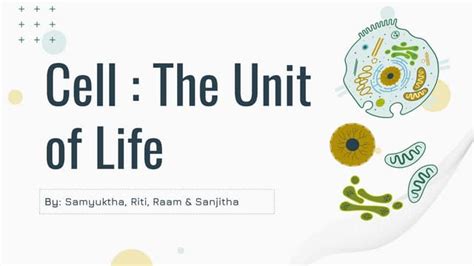 Biology Cell The Unit Of Life Mitochondria And Plastids Ppt Groupwork