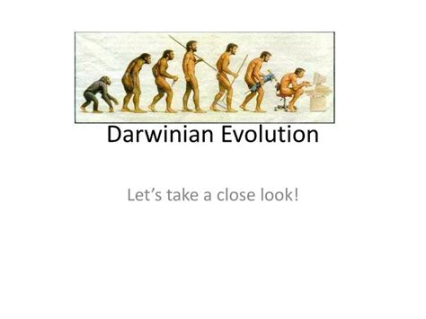 PPT - Darwinian Evolution PowerPoint Presentation, free download - ID ...