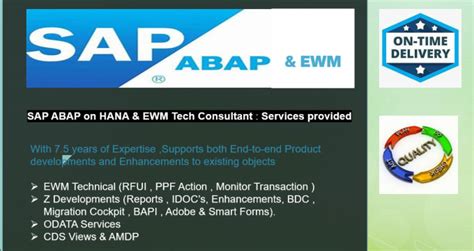 Do Sap Abap On Hana And Ewm Technical Development