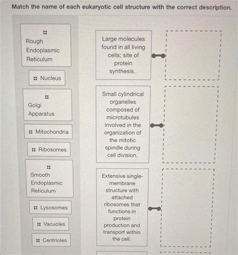 Solved Match the name of each eukaryotic cell structure with | Chegg.com 
