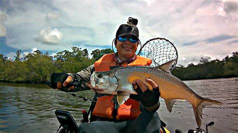 Pescaria De Baby Tarpon No Estu Rio Do Rio Mamanguape Youtube