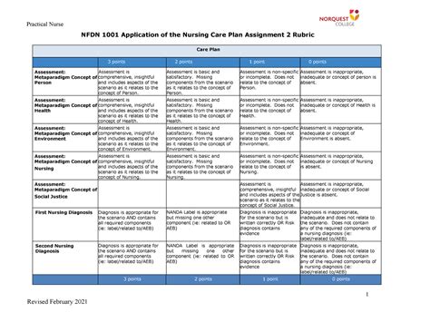 Care Plan Rubric