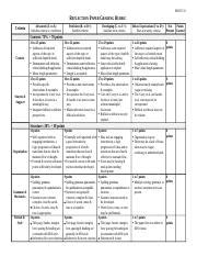 Reflection Paper Grading Rubric Docx Hsco Reflection Paper