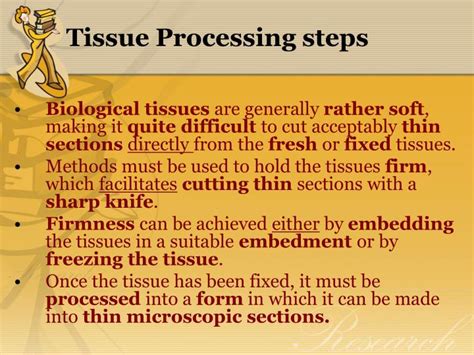 PPT - Tissue Processing PowerPoint Presentation - ID:1133074