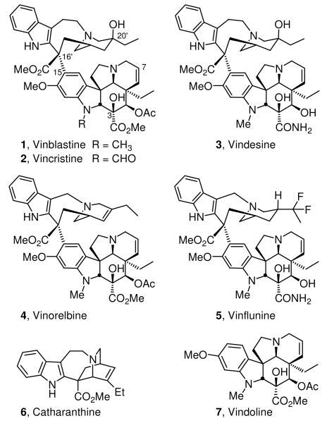 Total Synthesis Of Vinblastine Vincristine Related Natural Products