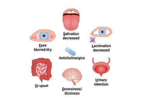 62 Review Of The Central Nervous System Medicine Libretexts