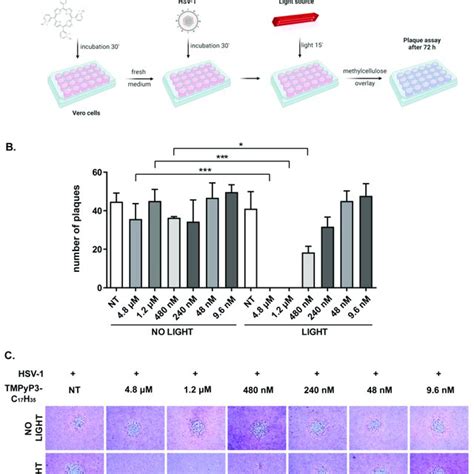 TMPyP3 C 17 H 35 Inhibits Replication Of HSV 1 Vero Cells Were Treated